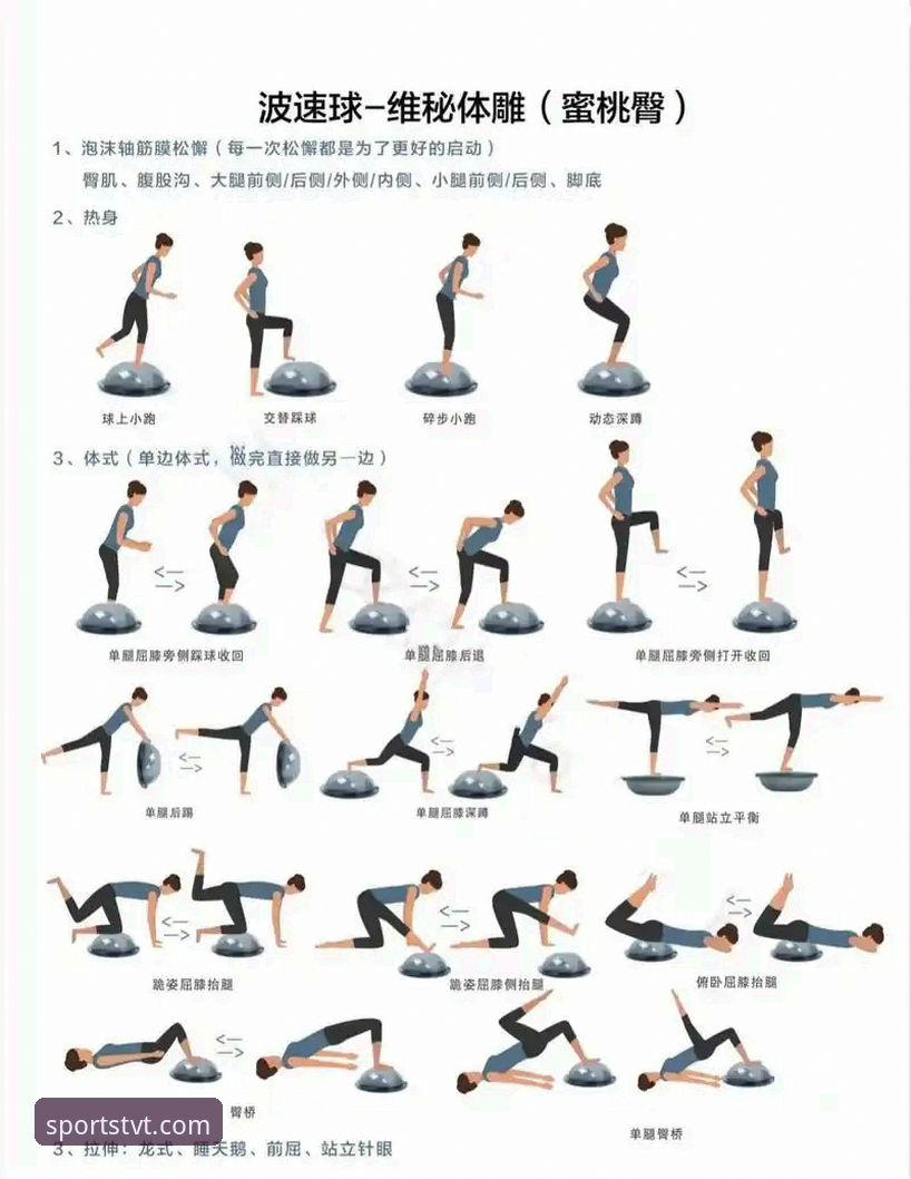 TVT体育平台功能全方位解析：实用技巧与操作指南